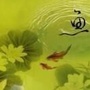 全球钓鱼汇公众号ico