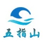 五指山看点ico