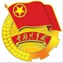 共青团五指山市委员会ico