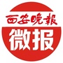 晚报微报公众号ico