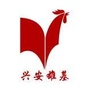 兴安雄基伟业ico