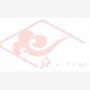 锦江区书院街街道庆云社区青年ico