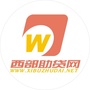 西部金控ico