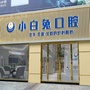 东莞长安小白兔口腔门诊部公众号ico