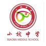 金海湖新区小坝中学ico
