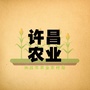 许昌农业ico