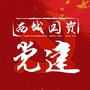 西城区国资国企党建ico