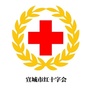 宣城红十字ico