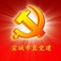 宣城市直党建ico