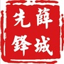 薛城先锋ico