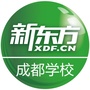 新东方成都学校ico