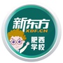 新东方肥西学校ico