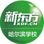 新东方哈尔滨学校ico