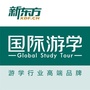 新东方国际游学ico