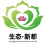 生态新都ico