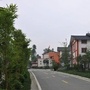 新都区锦城村青年ico