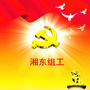 湘东组工ico