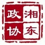 湘东政协ico