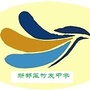新都区竹友中学ico