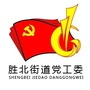 胜北先锋号ico