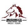 西风野马ico