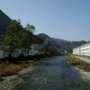 香榧之乡杨村ico