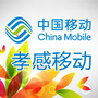 孝感移动ico