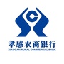 孝感农商银行ico
