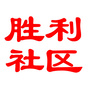 胜利e微ico