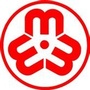 孝南妇联ico