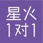星火个性化业务部ico