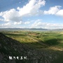 美丽赵川ico