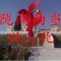 陇南两当兴化乡ico