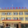西湖镇大许村民委员会ico