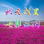 西湖发布ico