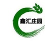 大城鑫汇ico