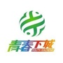 青春下城ico