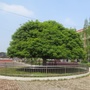 下村中学ico