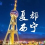 夏都西宁ico