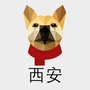 西安单身青年自救平台ico
