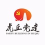 先锋虎丘ico
