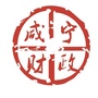 咸宁财政ico