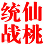 仙桃统战ico