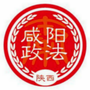 咸阳政法ico