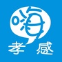 嗨孝感公众号ico