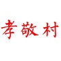 孝敬村ico