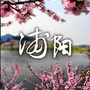 萧山浦阳ico