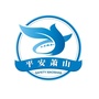平安萧山ico