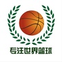 专注世界篮球ico