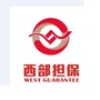 西部银川担保有限公司ico